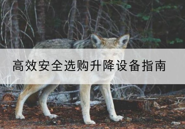 新乐升降货梯厂家推荐-*安全选购升降设备指南