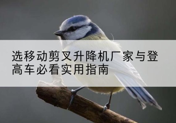 新乐电动升降机厂家-选移动剪叉升降机厂家与登高车必看实用指南