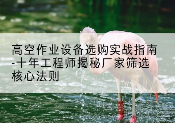 新乐剪叉式升降机厂家-高空作业设备选购实战指南-十年工程师揭秘厂家筛选核心法则